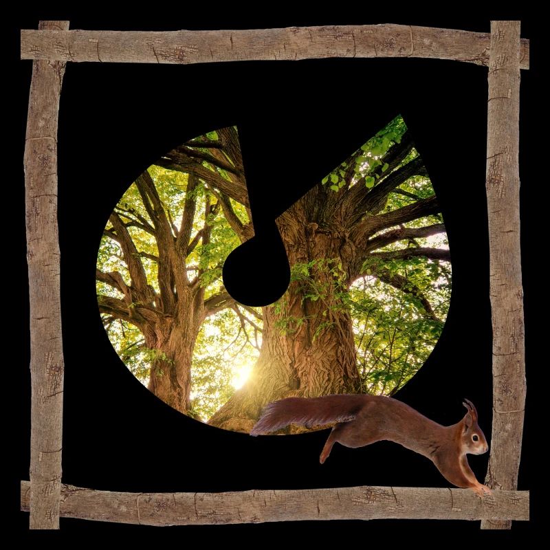 forest with squirrel u