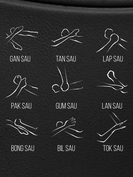 Wingtsun Wing chun
