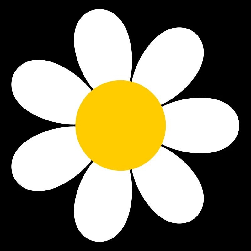 Daisy Flower