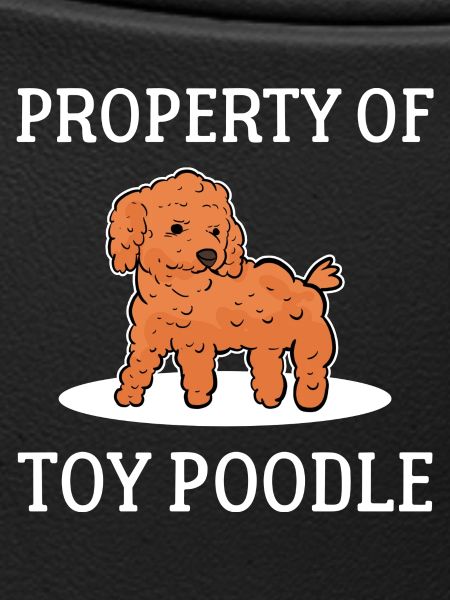Poodle