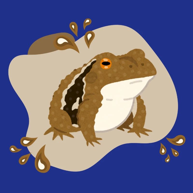 Toad