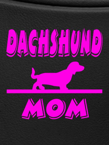 Dachshund