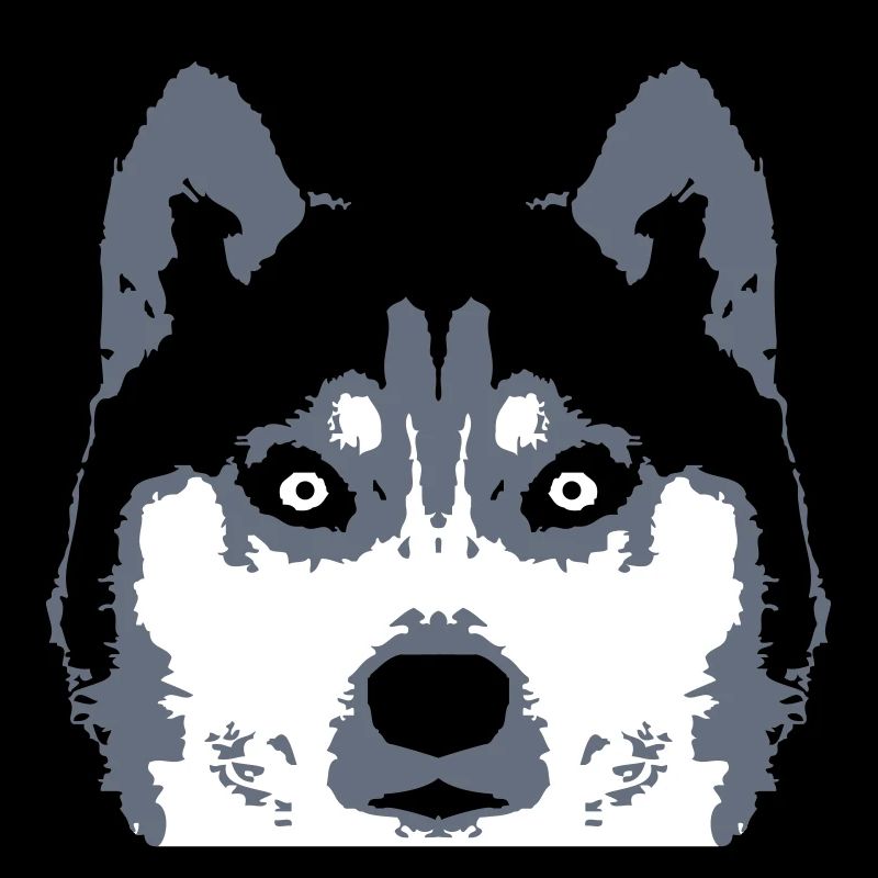 Dog White Husky Face Head Beautiful Breed Cool