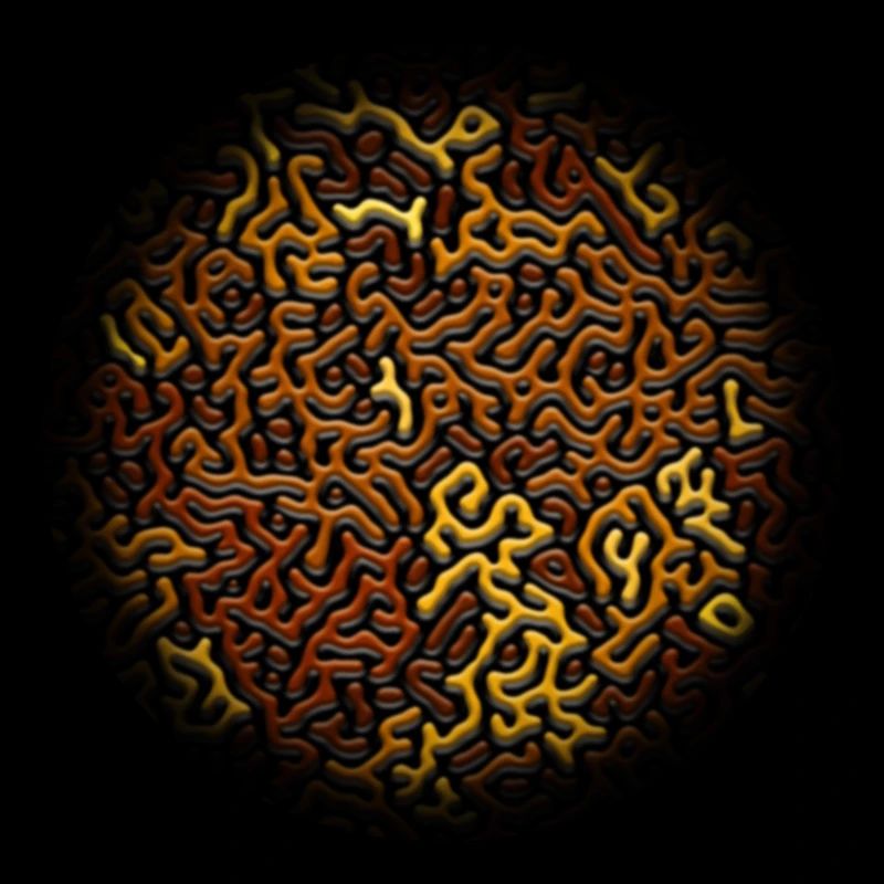 Turing Pattern