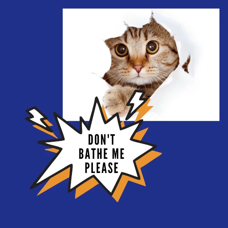 Ne me baigne pas chat