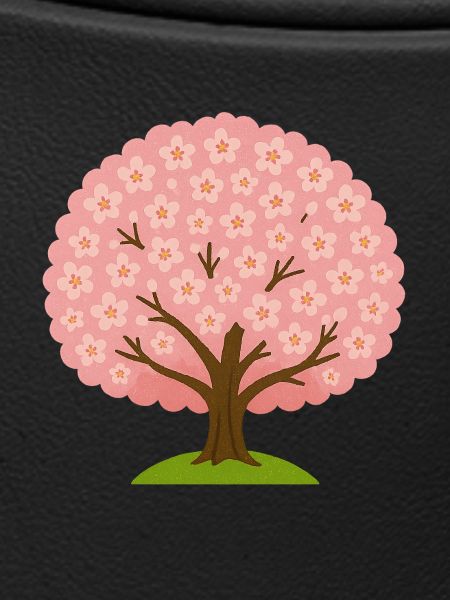 Cherry blossom