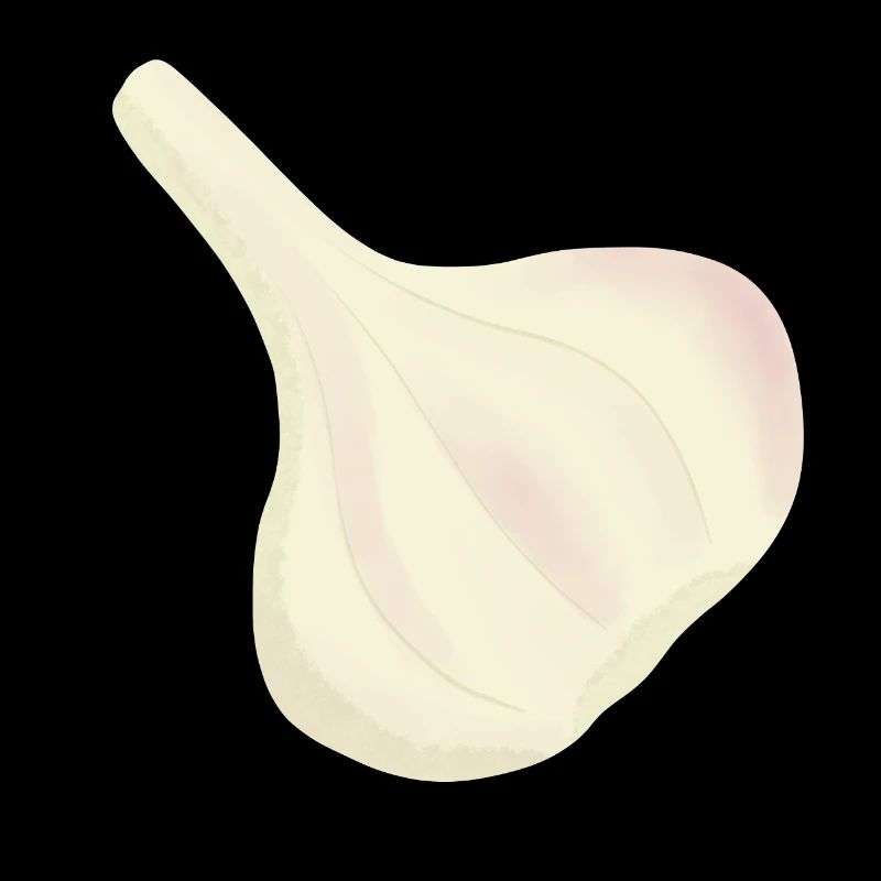 Garlic Bulb