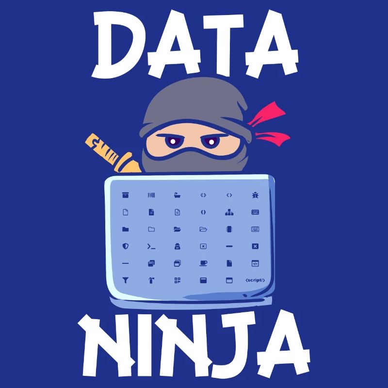 Data Ninja