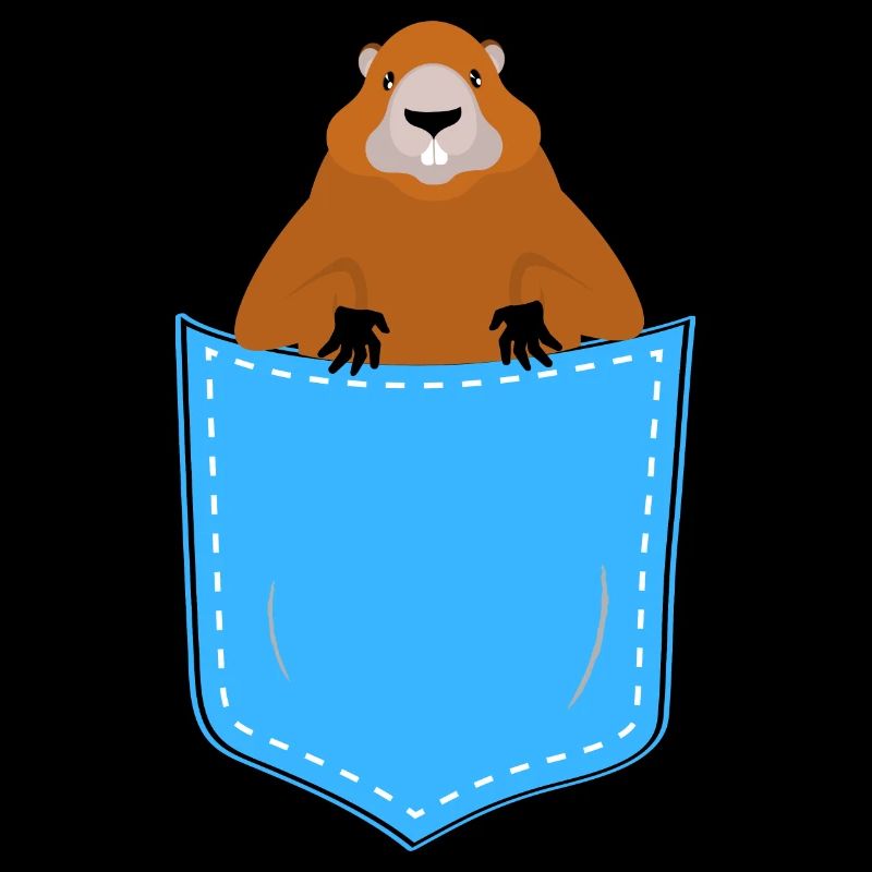 marmotte dans une poche