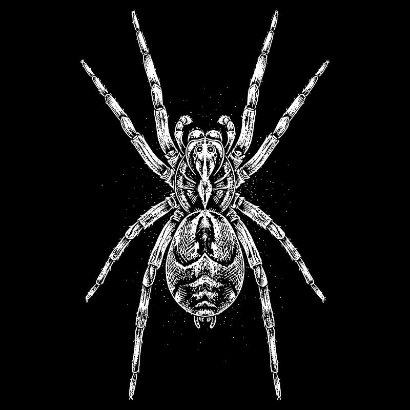 Midnight Spider Mandala
