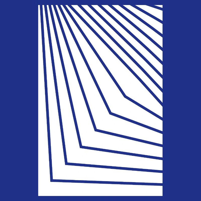 Angular Concentric Lines