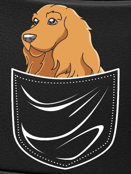 Cocker Spaniel
