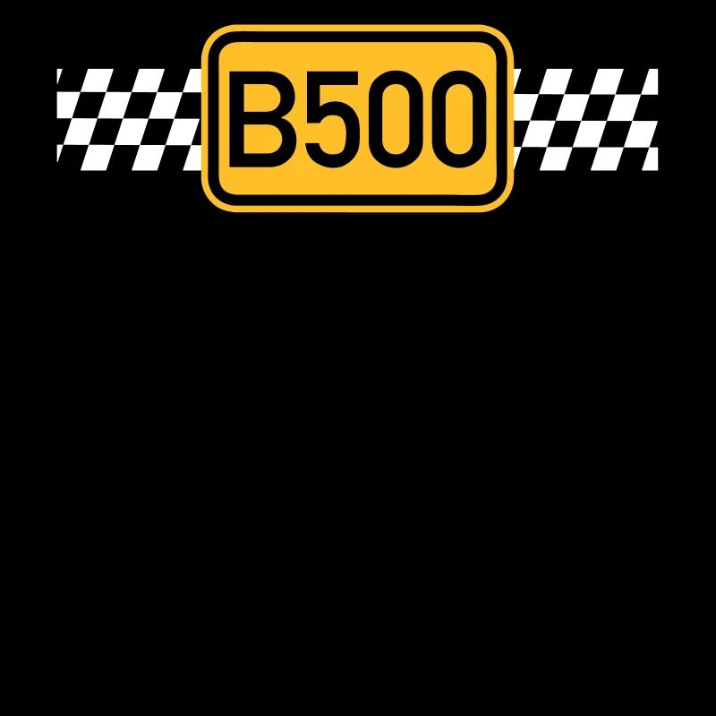 B500 Racing Team