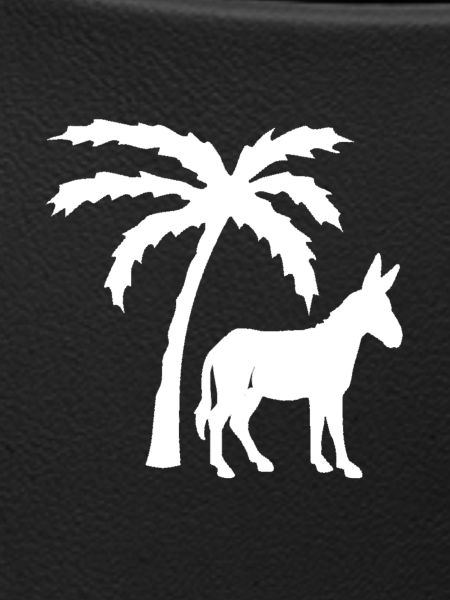 donkey