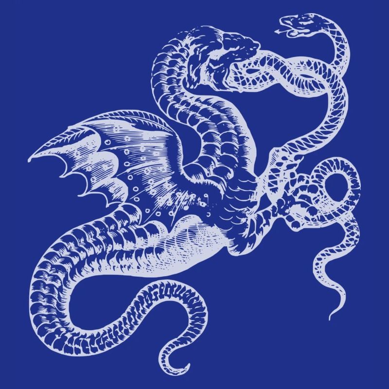 Drache Drachen Schlange Schlangen Mystisch