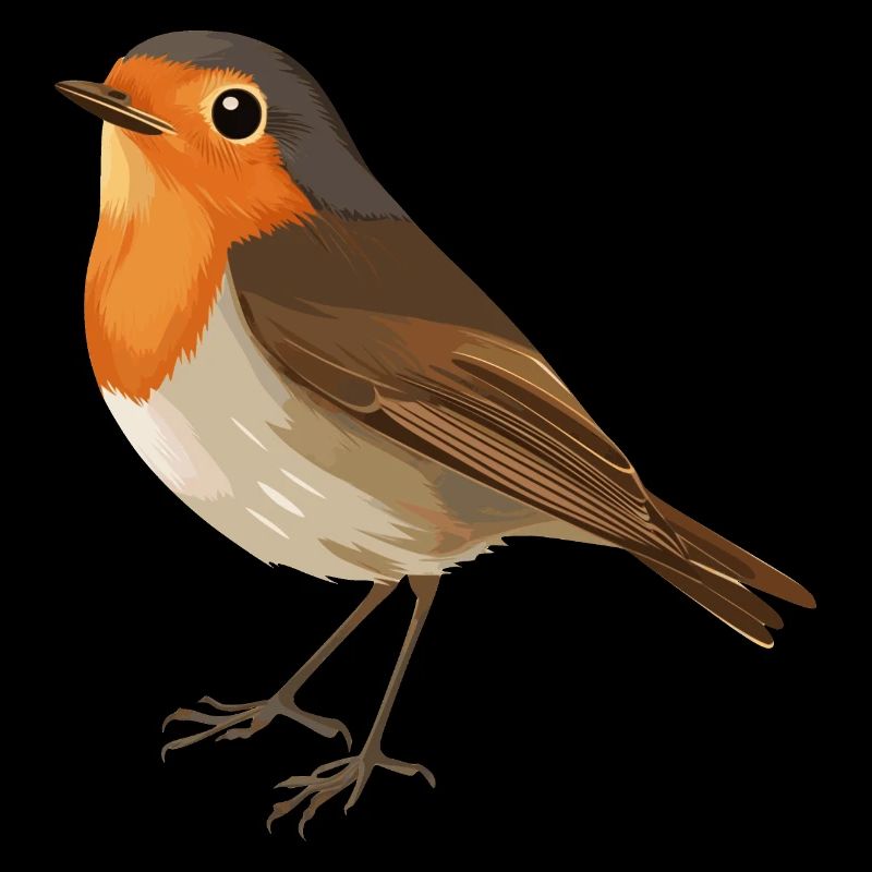 Robin