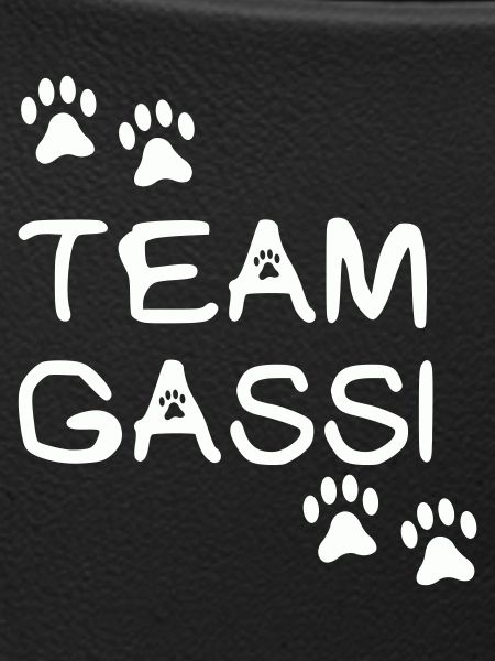 team gassi 01