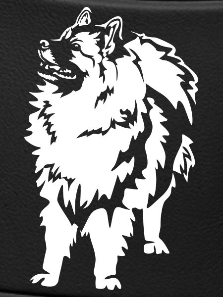 Wolfsspitz "Black Edition"