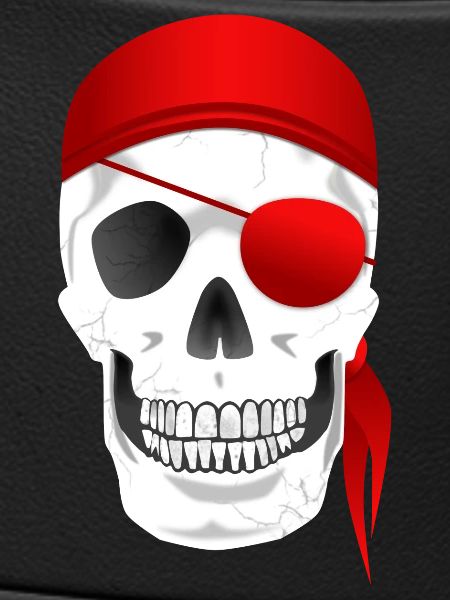 Skull Pirate