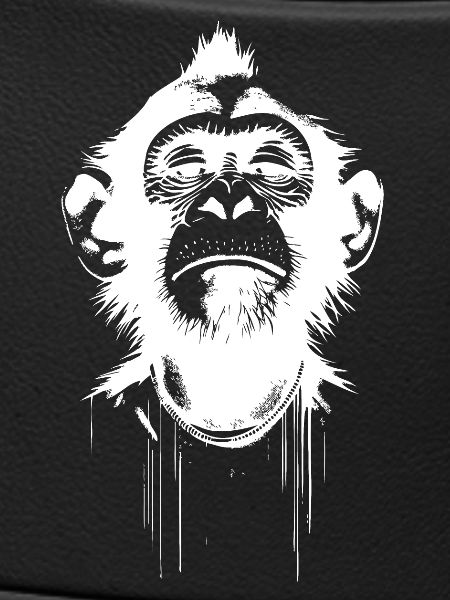 Monkey President