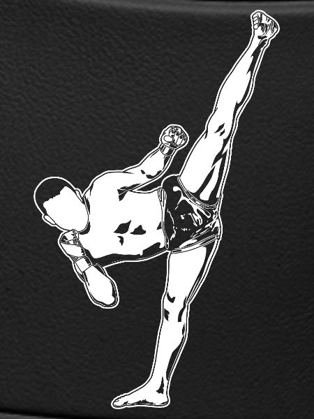 Kickboxer