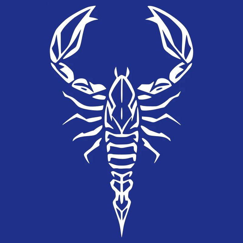 Scorpion Graphic Icon Drawing Vector