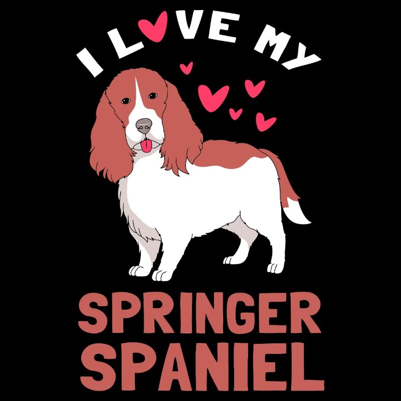 Chien Springer Spaniel