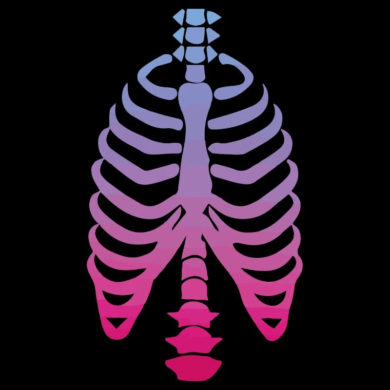 Skeleton bone rib cage ribs spine