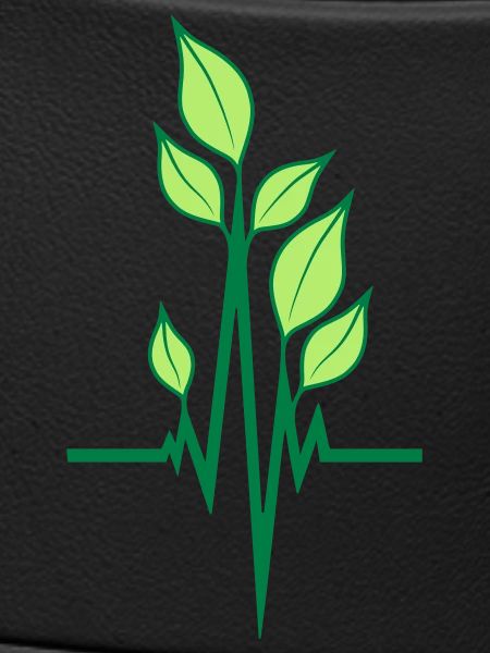 Vegan ecological pulse