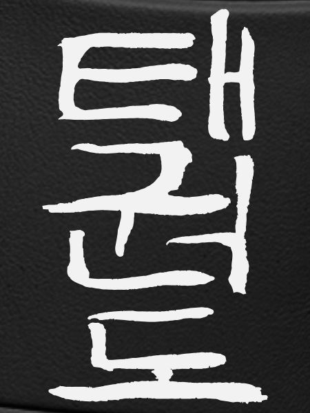 Taekwondo (Korean script)