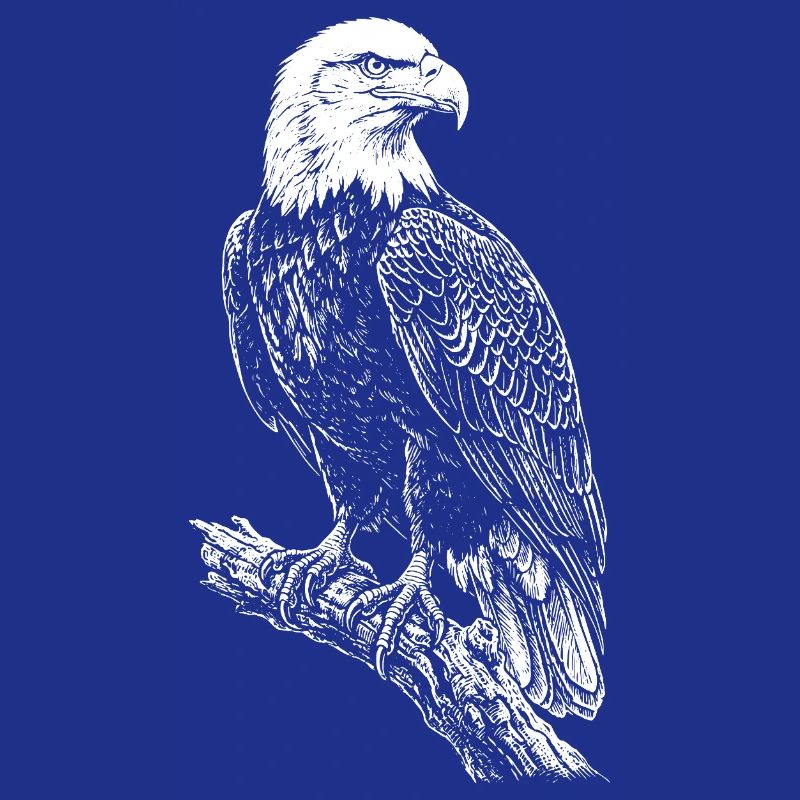 Perched Eagle Silhouette