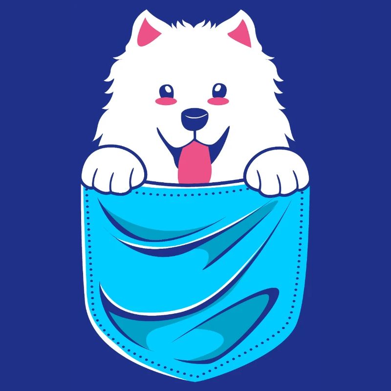 Samoyed