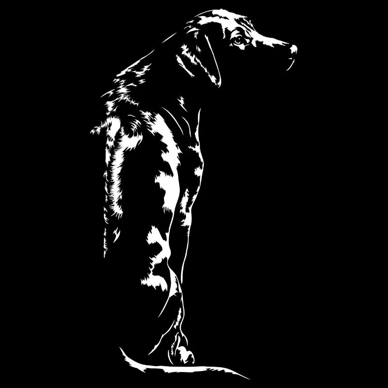 RHODESIAN RIDGEBACK RR Wilsigns chien canin