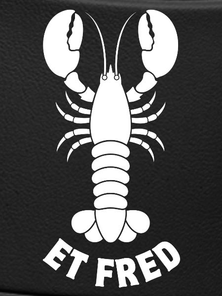 lobster, lobster, crustacean
