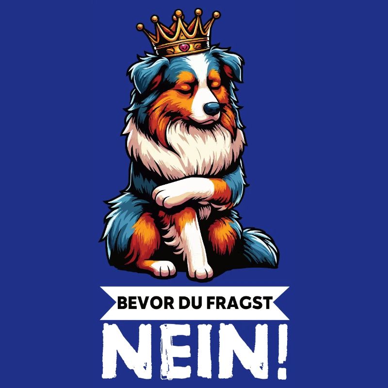 Bevor Du Fragst Australian Shepherd Aussie Aussie