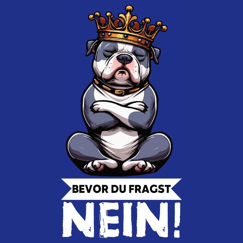 Before You Ask No American Bully Bully Pit