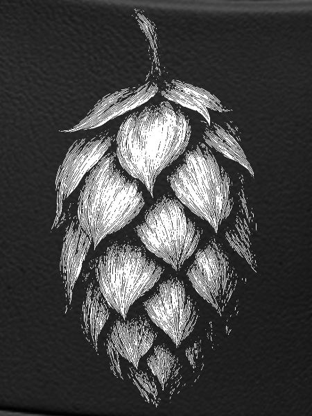 Houblon