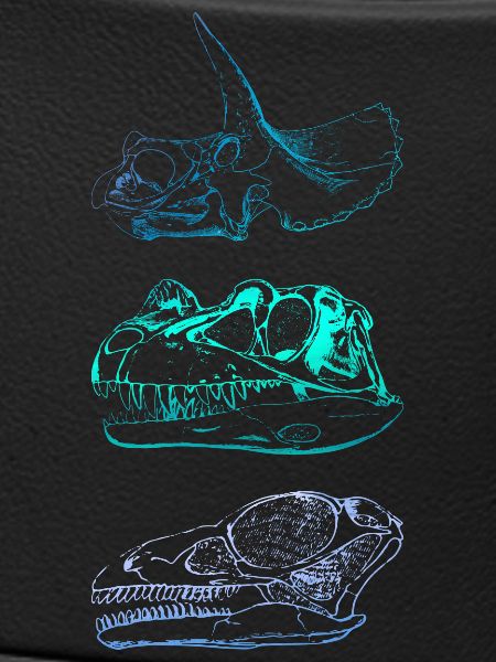 Dinosaur Skulls