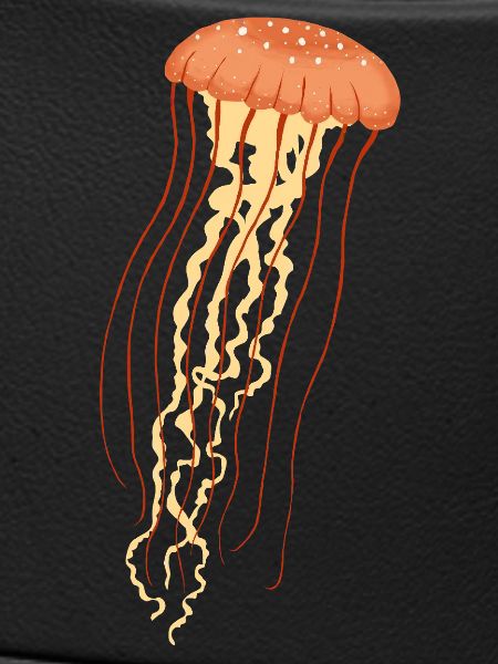 Jellyfish 2