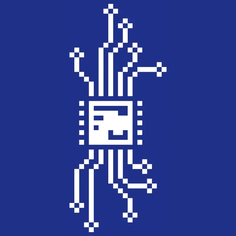Puce cyber 8 bits