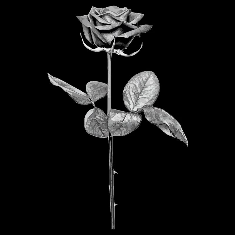 Rose en Noir - Blanc