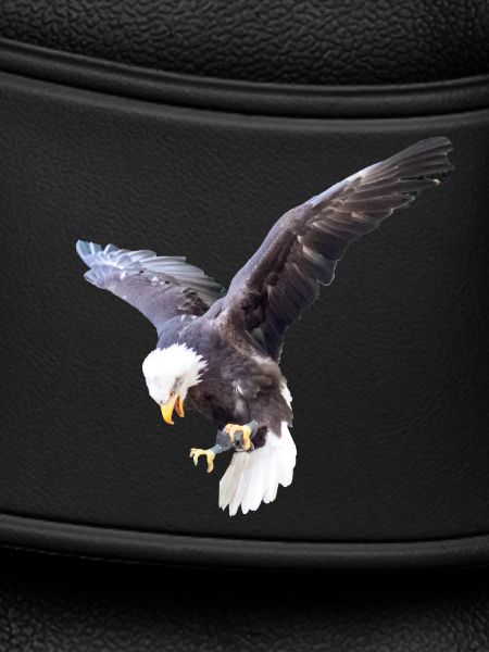 Eagle in a swoop