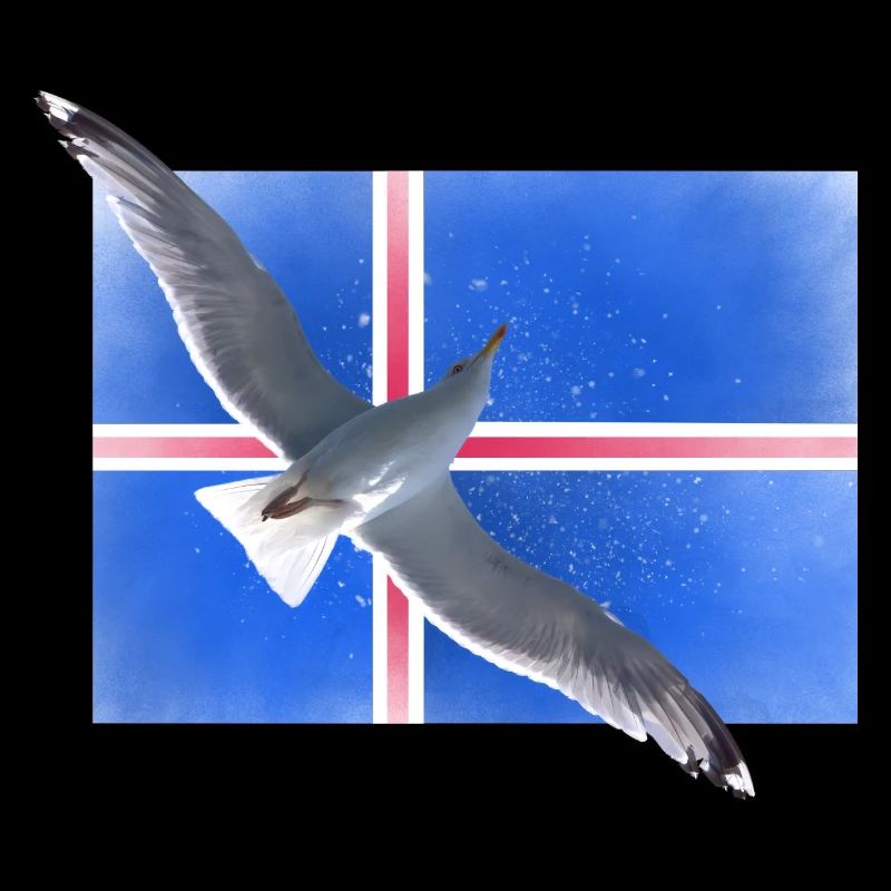 Iseland Seagull
