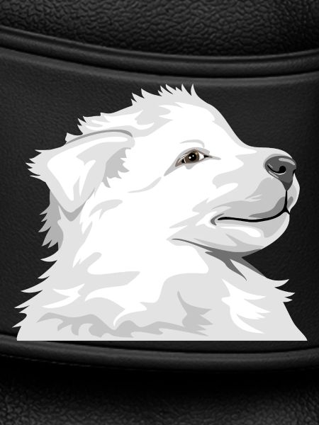 Chiot blanc
