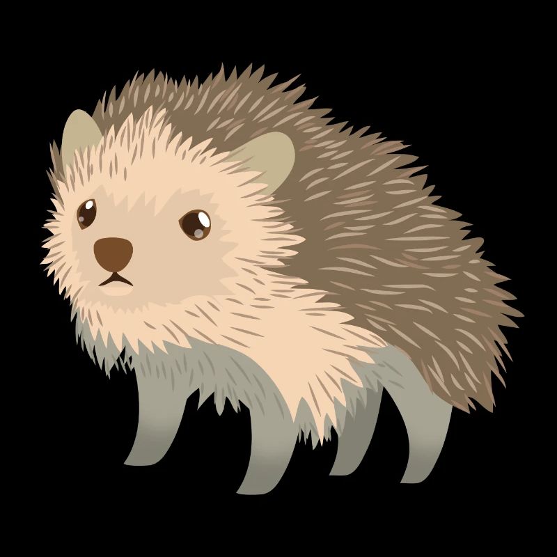 cute little Hedgehog