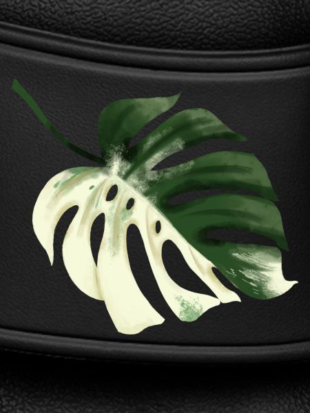 Conception premium Monstera