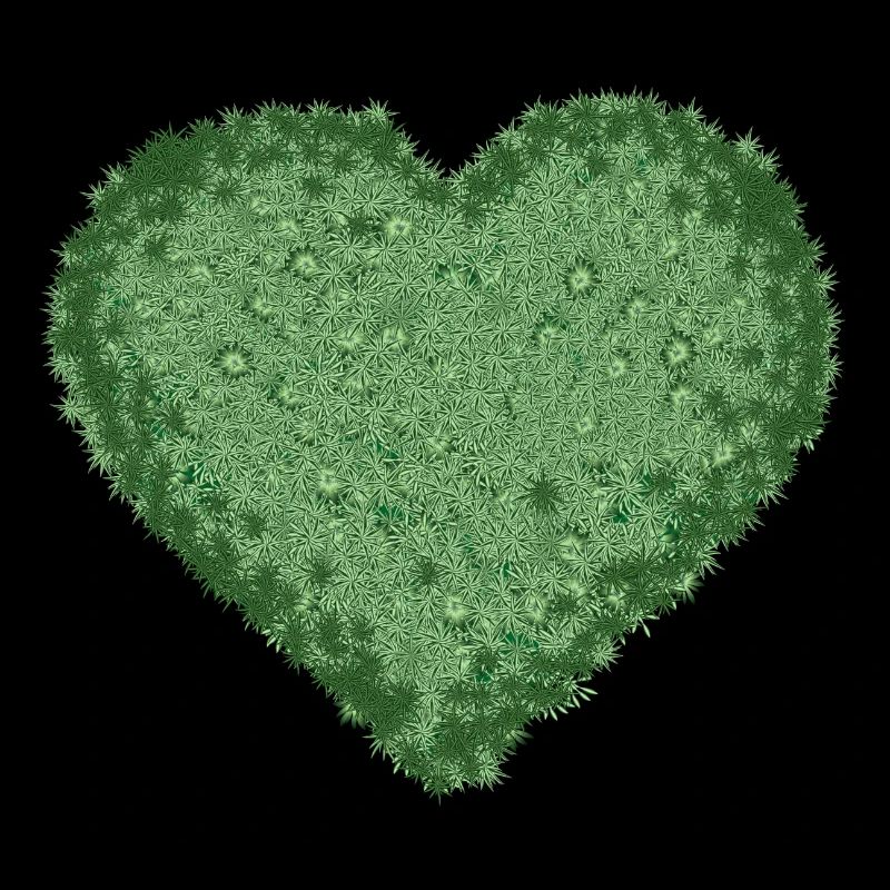 coeur de mousse décorative vert juteux