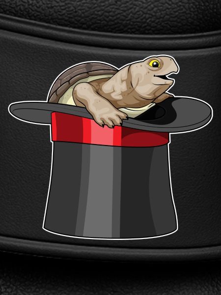 Turtle Wizard Cylinder
