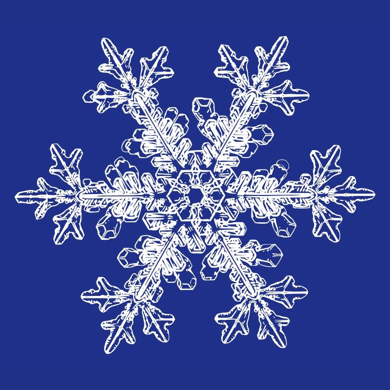snowflake 7 white