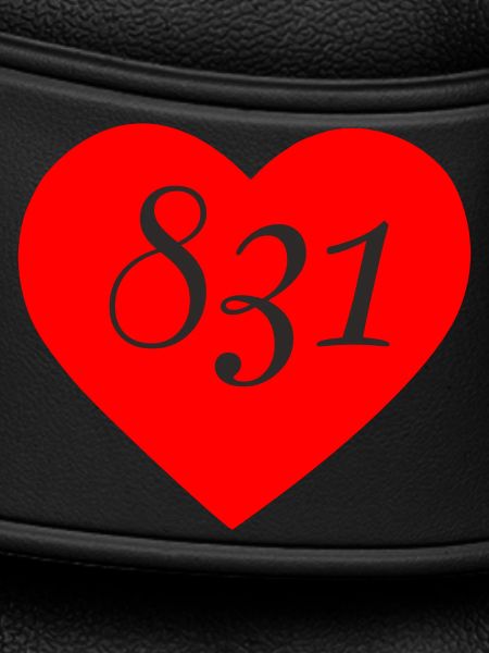 831 Heart 2